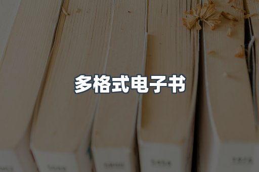 多格式电子书
